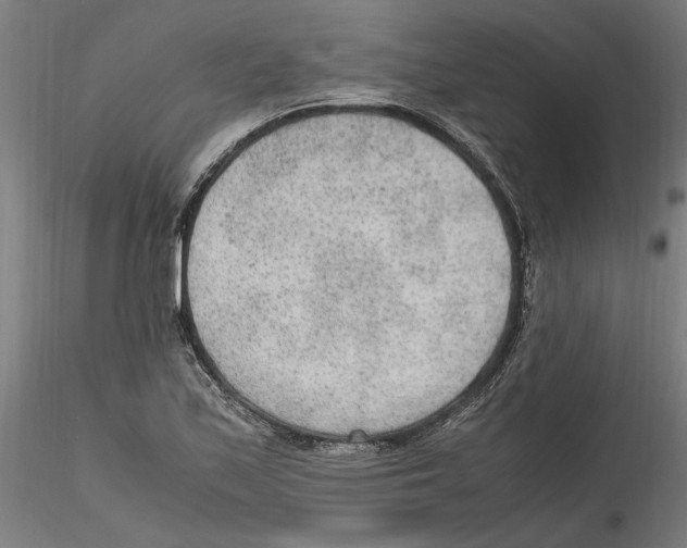 X0000114601171200911301416