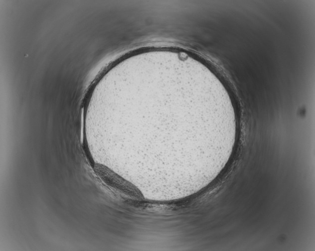 X0000114601175200911301416