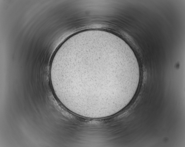 X0000114601178200911301416