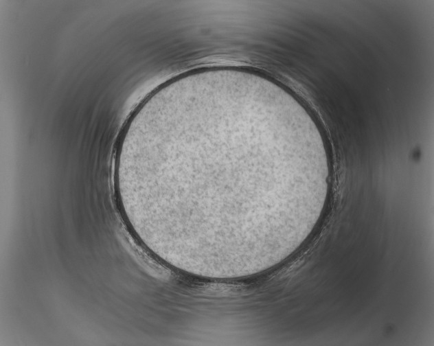 X0000114601179200911301416