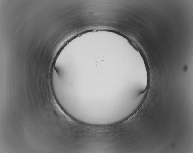 X0000114601189200911301416