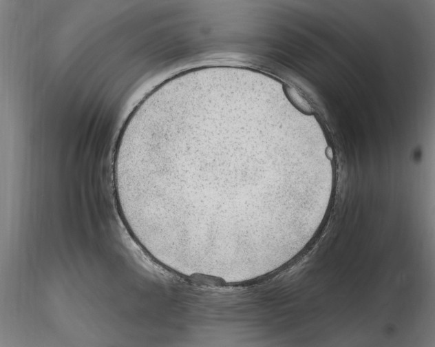 X0000114601192200911301416