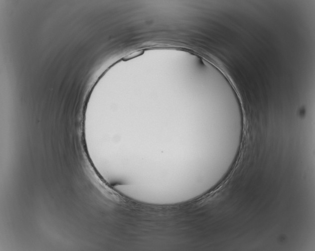 X0000114601195200911301416