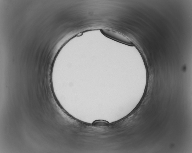 X0000114601197200911301416