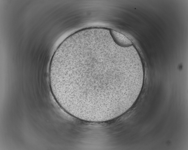 X0000114601199200911301415