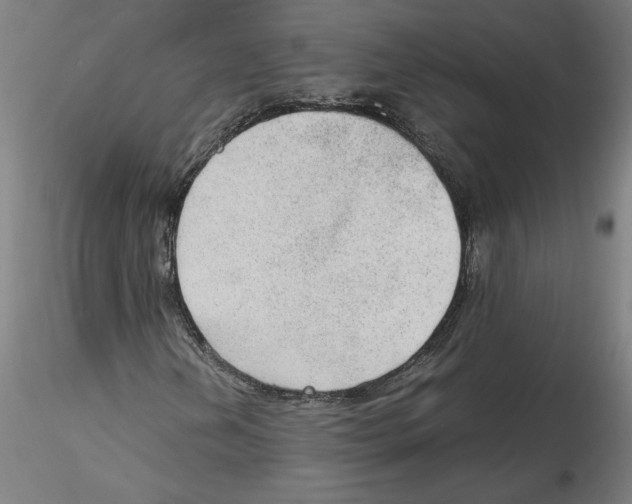 X0000114601202200911301415