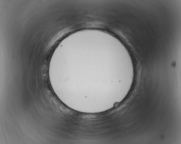 X0000114601211200911301415