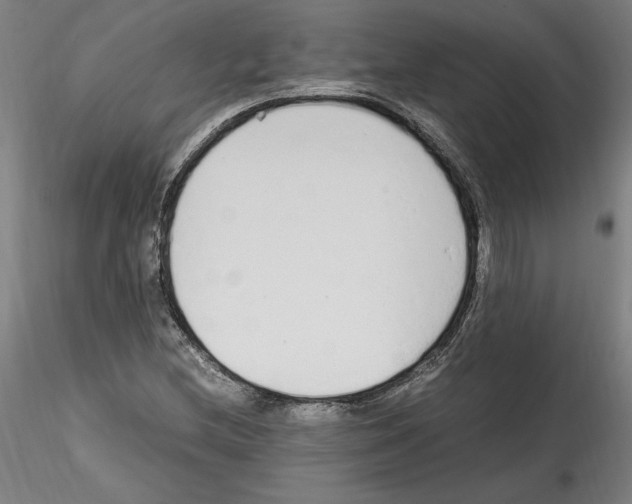 X0000114601212200911301415