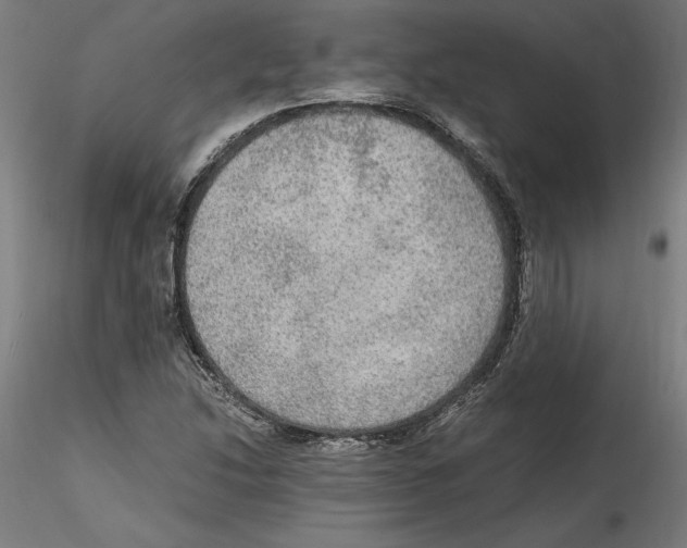 X0000114601214200911301415