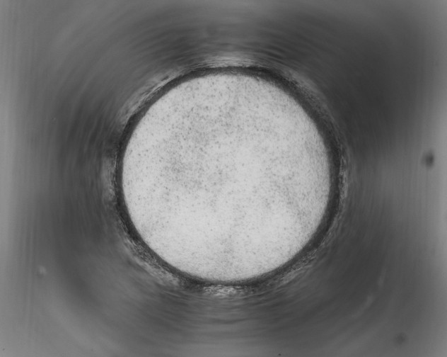 X0000114601217200911301415