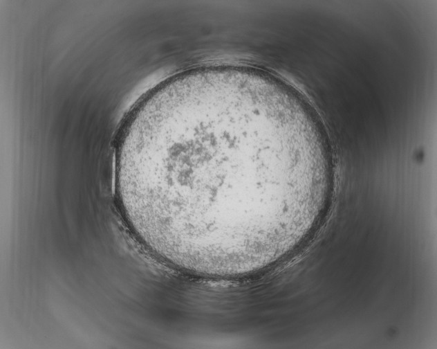 X0000114601219200911301415