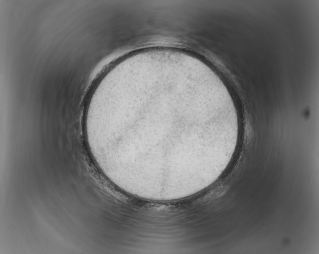 X0000114601222200911301415