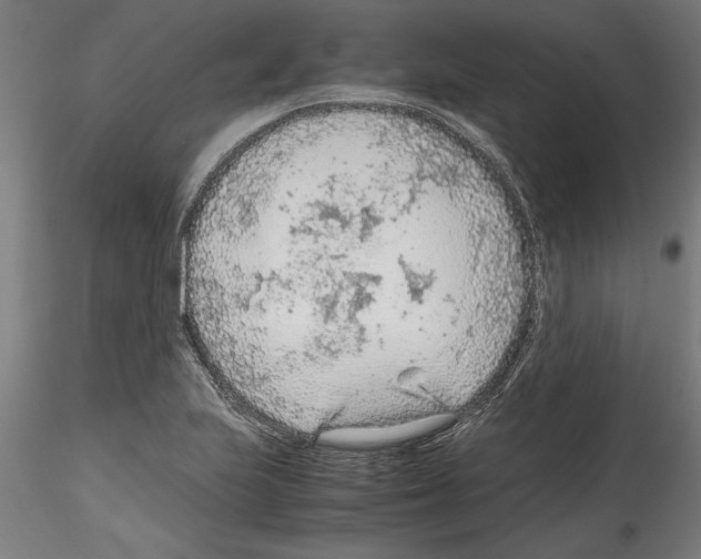 X0000114601223200911301415