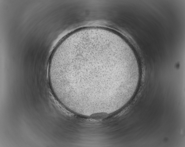 X0000114601224200911301415