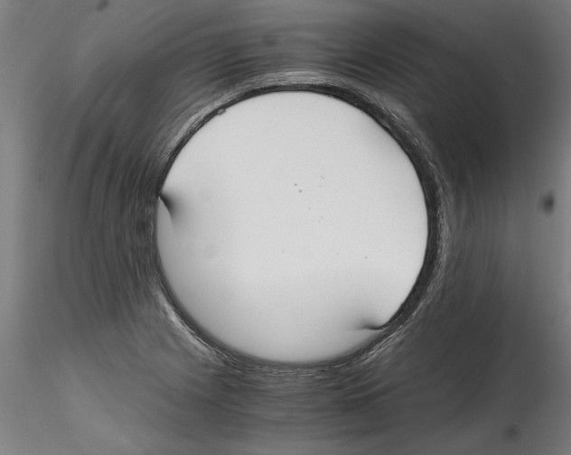 X0000114601225200911301415