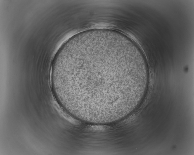 X0000114601227200911301415