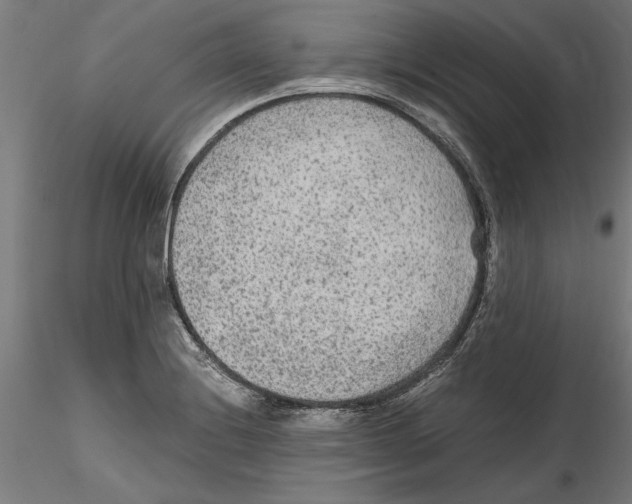 X0000114601228200911301415