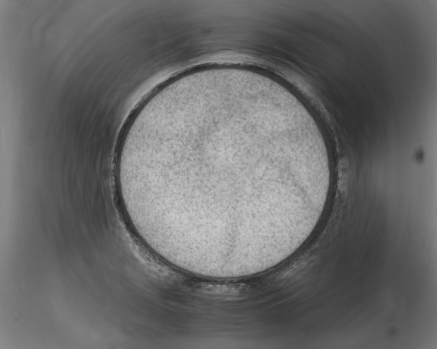 X0000114601229200911301415