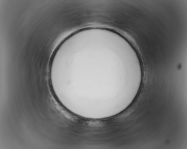 X0000114601231200911301415