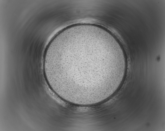 X0000114601232200911301415