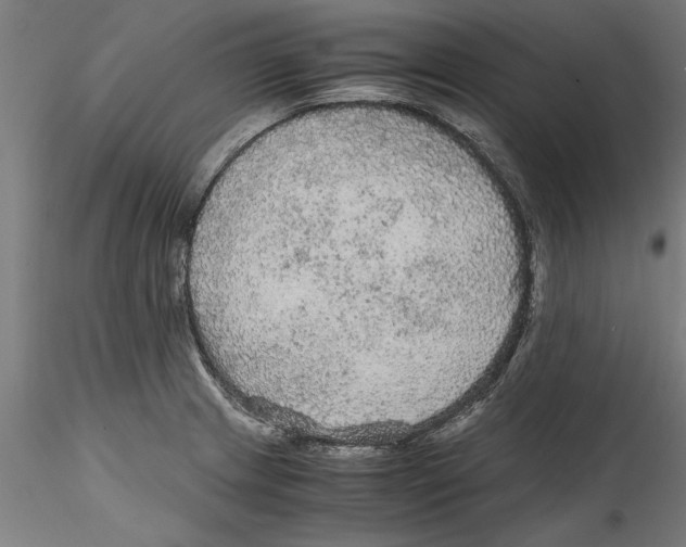 X0000114601233200911301415