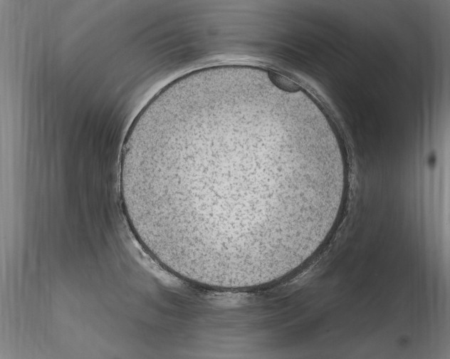 X0000114601236200911301415