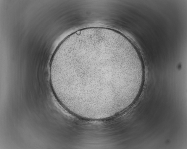 X0000114601238200911301415