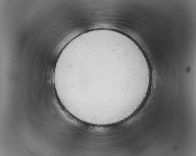 X0000114601241200911301415