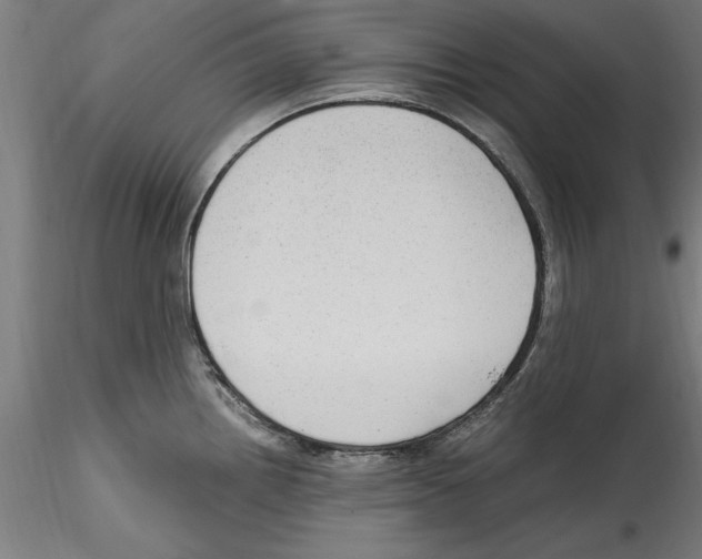 X0000114601242200911301415