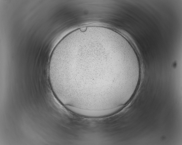 X0000114601244200911301415