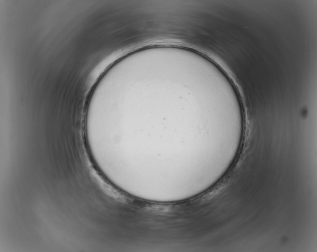 X0000114601245200911301415