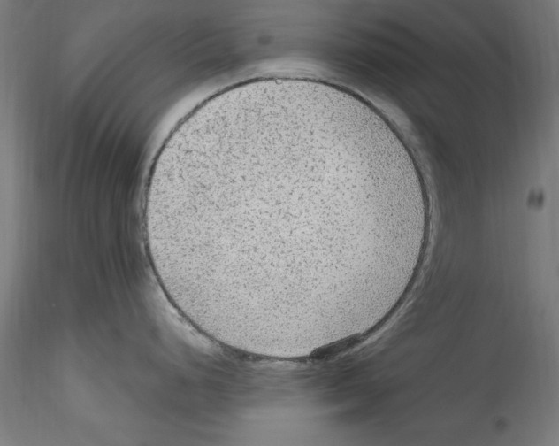 X0000114601248200911301415