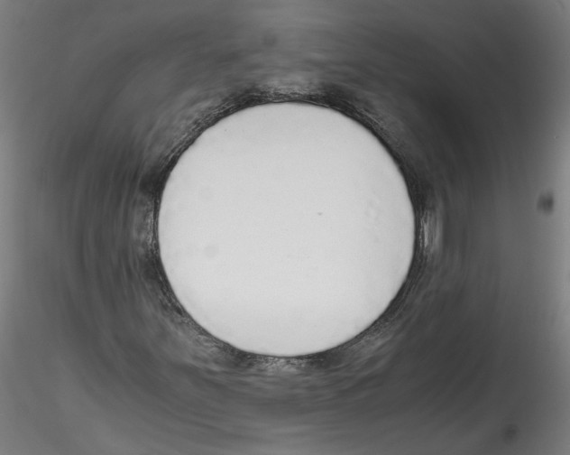 X0000114601251200911301415