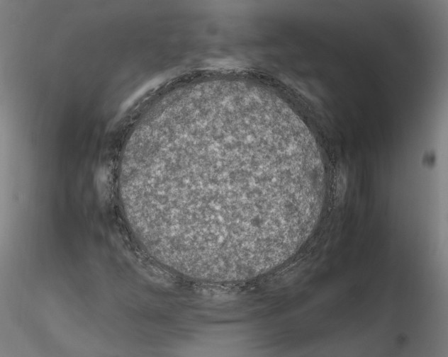 X0000114601254200911301415