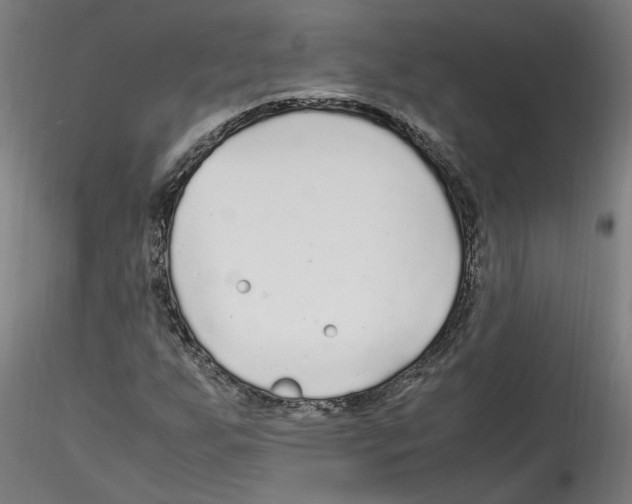 X0000114601255200911301415