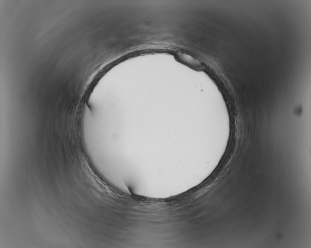 X0000114601260200911301414