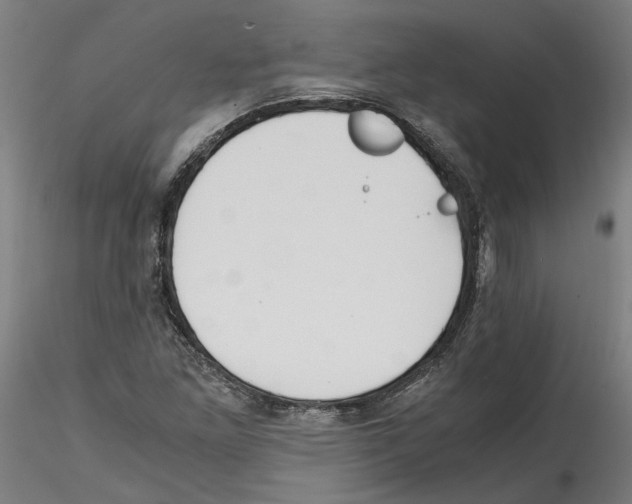 X0000114601261200911301414