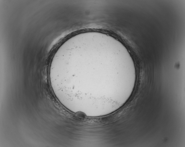 X0000114601262200911301414