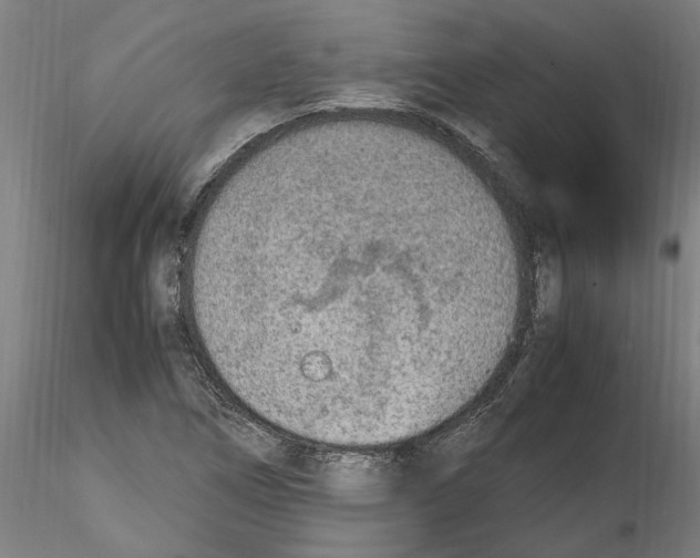 X0000114601266200911301414