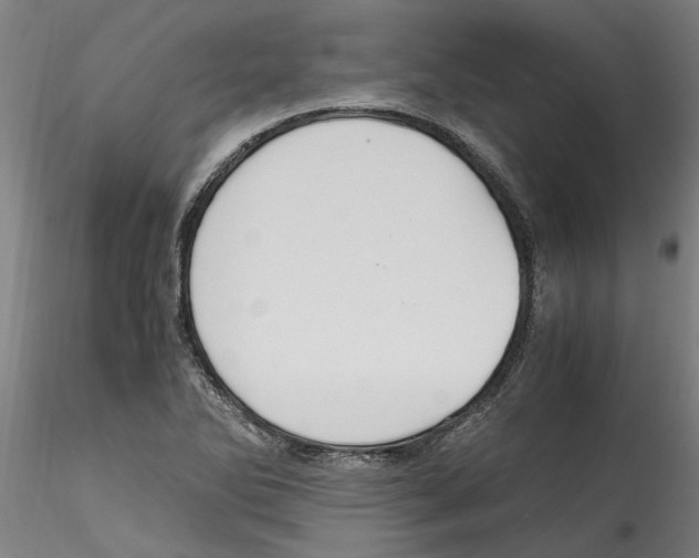 X0000114601270200911301414