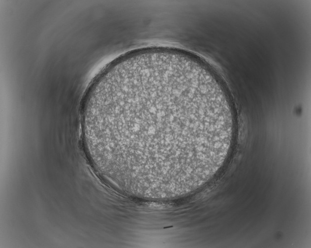 X0000114601271200911301414