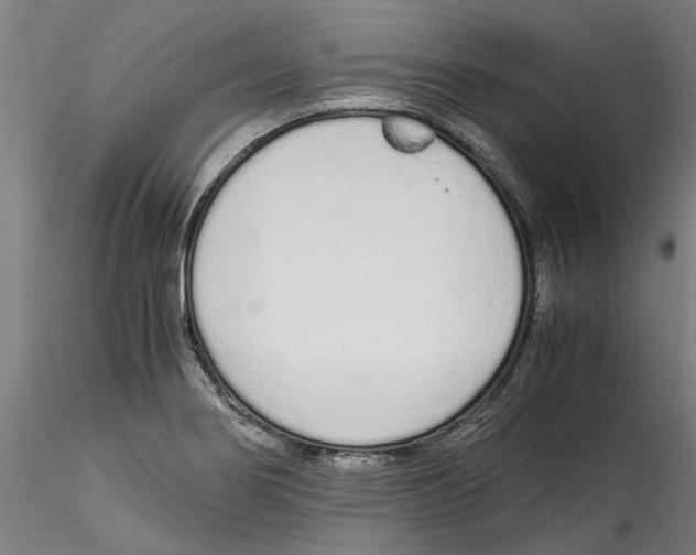 X0000114601274200911301414