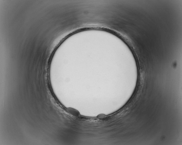 X0000114601279200911301414