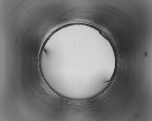 X0000114601280200911301414