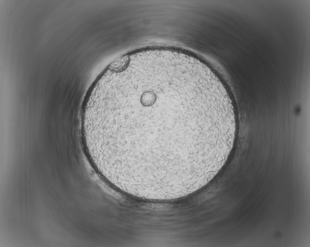 X0000114601287200911301414