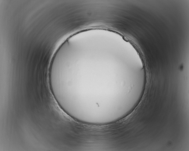 X0000114601288200911301414