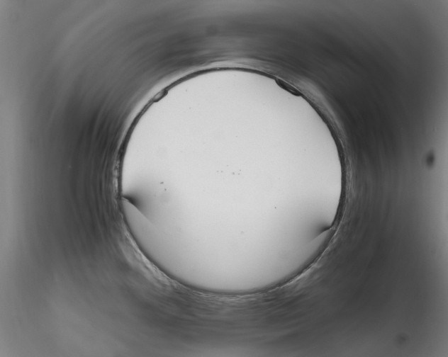 X0000114601292200911301414