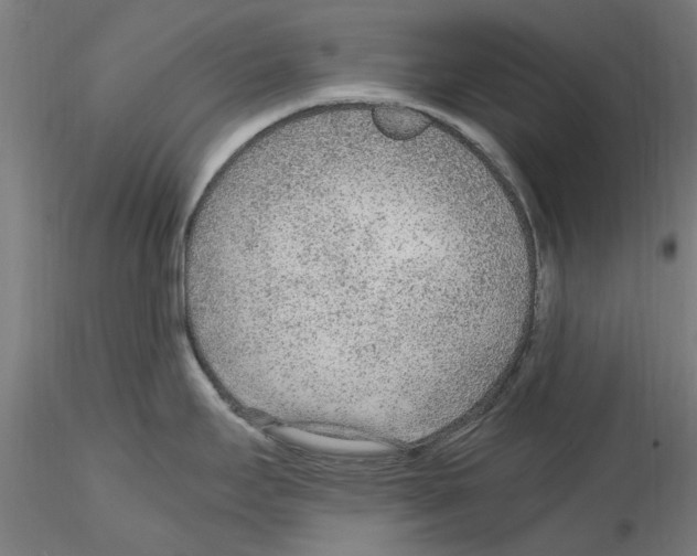 X0000114601295200911301414