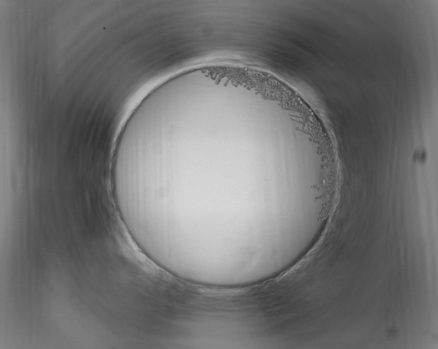 X0000114601296200911301414