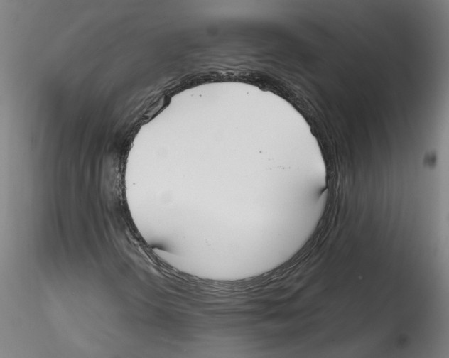 X0000114601298200911301413